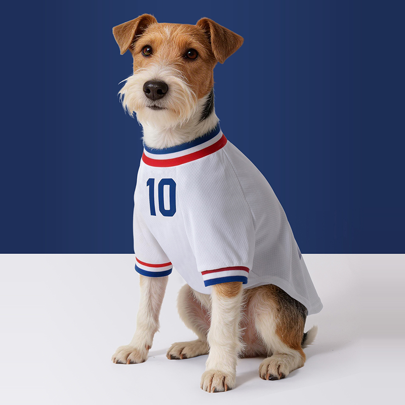 France FFF Pet No.10 Away Jersey - White